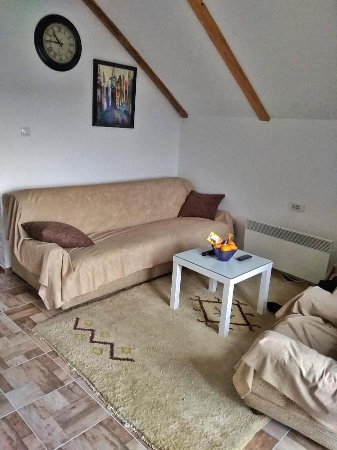 Apartmani Zapis Vrdnik Ngoại thất bức ảnh